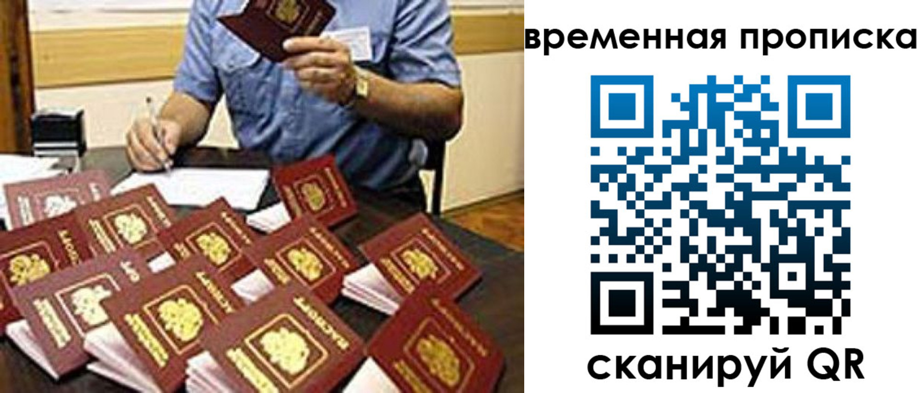 прописка для школы в Полярном